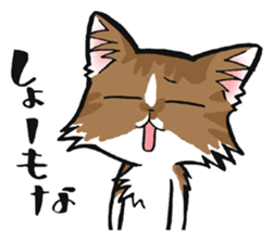 KANSAI- dialect CATS sticker #5885507