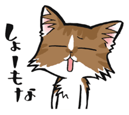 KANSAI- dialect CATS sticker #5885507
