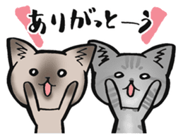 KANSAI- dialect CATS sticker #5885509