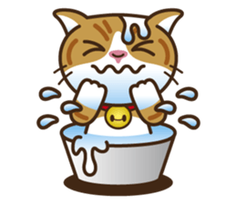 MOMO The Tomboy Cat sticker #5886855