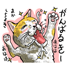 well speak cat tosa ben