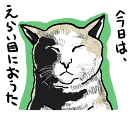 well speak cat tosa ben sticker #5888209