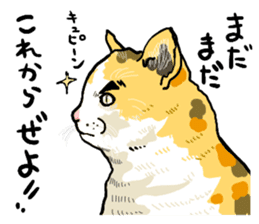 well speak cat tosa ben sticker #5888221