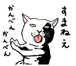 well speak cat tosa ben sticker #5888224