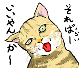 well speak cat tosa ben sticker #5888225