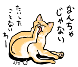 well speak cat tosa ben sticker #5888230