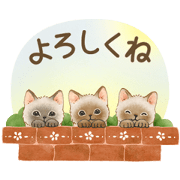 สติ๊กเกอร์ไลน์ [Moving] Cat sticker (Japanese message)