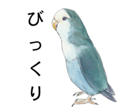 Pisuke of the lovebird sticker #5888636