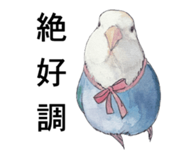 Pisuke of the lovebird sticker #5888644