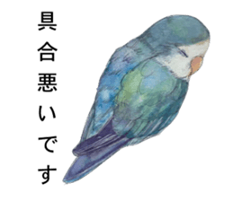 Pisuke of the lovebird sticker #5888645
