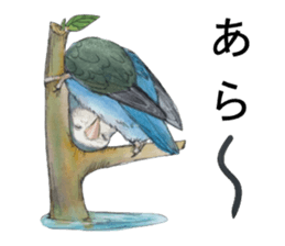Pisuke of the lovebird sticker #5888646