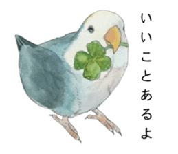 Pisuke of the lovebird sticker #5888648