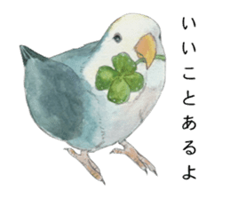 Pisuke of the lovebird sticker #5888648