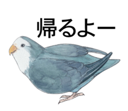 Pisuke of the lovebird sticker #5888651