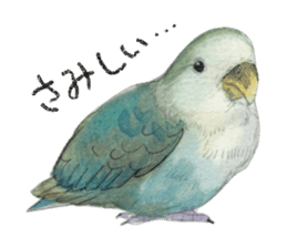 Pisuke of the lovebird sticker #5888658