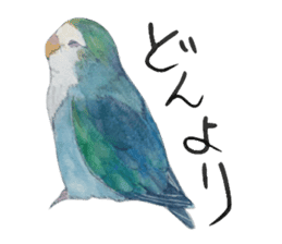 Pisuke of the lovebird sticker #5888660