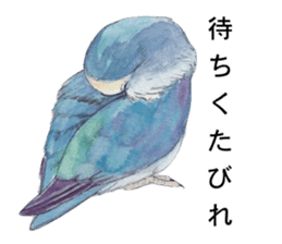 Pisuke of the lovebird sticker #5888667