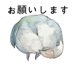 Pisuke of the lovebird sticker #5888668