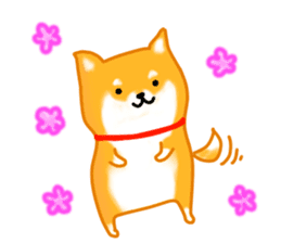 Sticker of a Shiba dog sticker #5889687