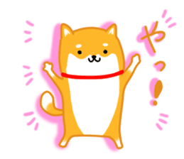 Sticker of a Shiba dog sticker #5889696