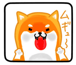 Sticker of a Shiba dog sticker #5889698
