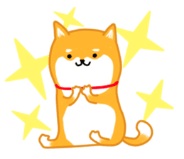 Sticker of a Shiba dog sticker #5889703