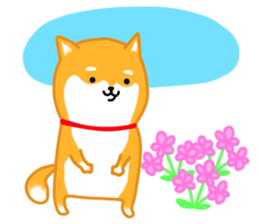 Sticker of a Shiba dog sticker #5889704