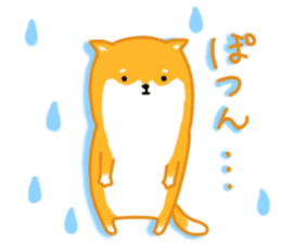 Sticker of a Shiba dog sticker #5889706