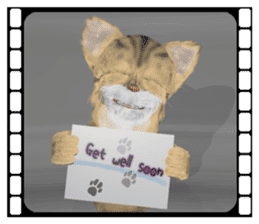 3D animal cat sticker #5890324
