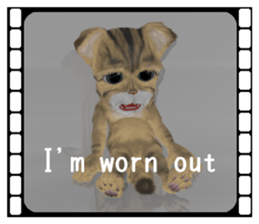 3D animal cat sticker #5890328