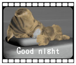 3D animal cat sticker #5890329