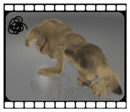 3D animal cat sticker #5890333