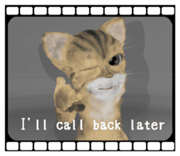 3D animal cat sticker #5890338