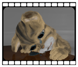 3D animal cat sticker #5890351