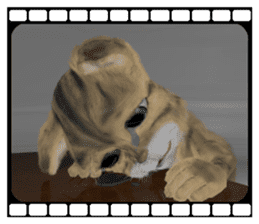 3D animal cat sticker #5890351