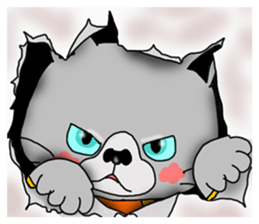 3 cats. Entry. Waiting. Leaving. sticker #5891827