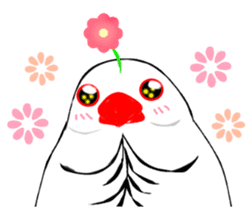 Java sparrow's diary sticker #5893277