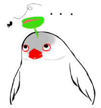 Java sparrow's diary sticker #5893278
