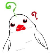 Java sparrow's diary sticker #5893281