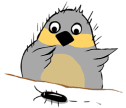 Java sparrow's diary sticker #5893297