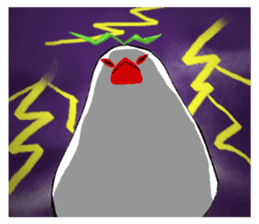 Java sparrow's diary sticker #5893298