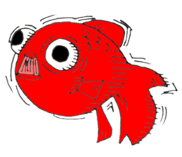 Kyn Kyn of the goldfish sticker #5894447