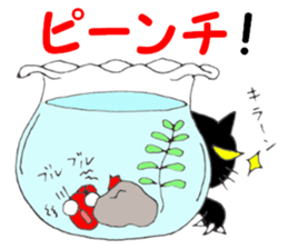 Kyn Kyn of the goldfish sticker #5894462