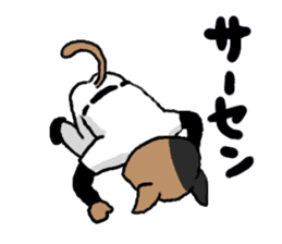 opening! cat league sticker #5895492