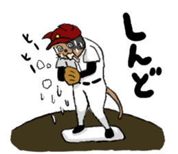 opening! cat league sticker #5895493