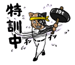 opening! cat league sticker #5895510