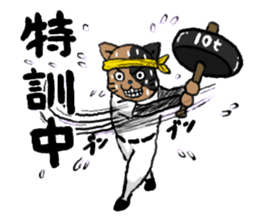 opening! cat league sticker #5895510