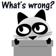 The cat of panda pattern 2