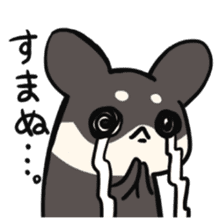 Sticker of nearly dog sticker #5897483