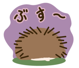 Hedgehog! sticker #5899477